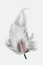 Load image into Gallery viewer, Robert Hat Feather  - Multi
