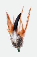Load image into Gallery viewer, Brixton Hat Feather - Burnt Orange/Black/Mahogany
