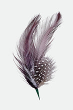Load image into Gallery viewer, Thomas Hat Feather  - Multi

